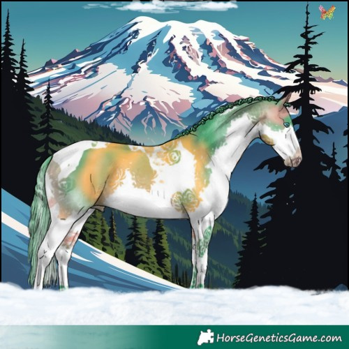 Horse Color:Watercolor Buckskin Splash Tobiano 