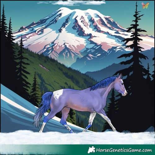 Horse Color:Watercolor Brown Dun Splash Tobiano 