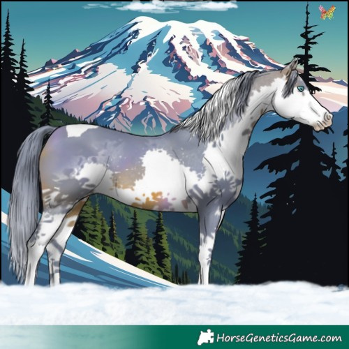 Horse Color:Watercolor Brown Splash Tobiano 