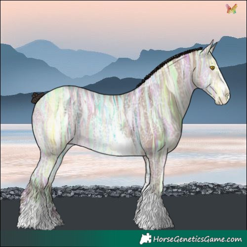 Horse Color:Sable Champagne Ice Sabino 