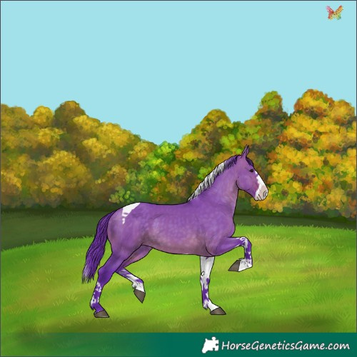 Horse Color:Watercolor Brown Dun Splash Tobiano 
