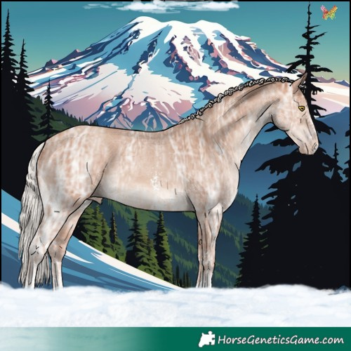 Horse Color:Silver Sable Champagne Ice Sabino 