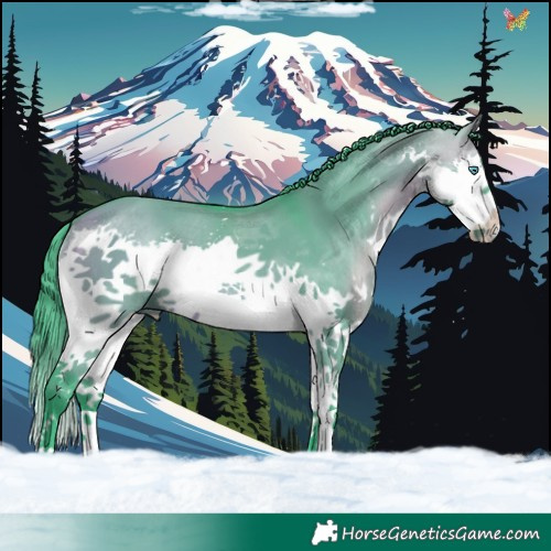 Horse Color:Watercolor Bay Dun Splash Tobiano 
