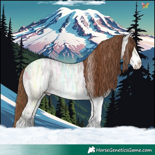 Horse Color:Red Dun Ice Sabino 