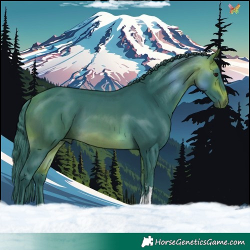 Horse Color:Watercolor Bay Tobiano 