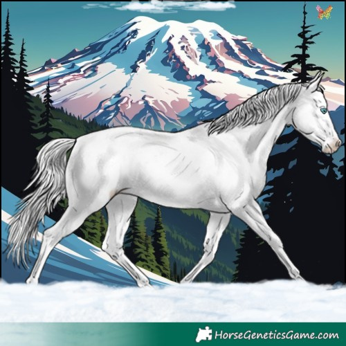 Horse Color:White Spotted Cremello Ice Sabino Splash 