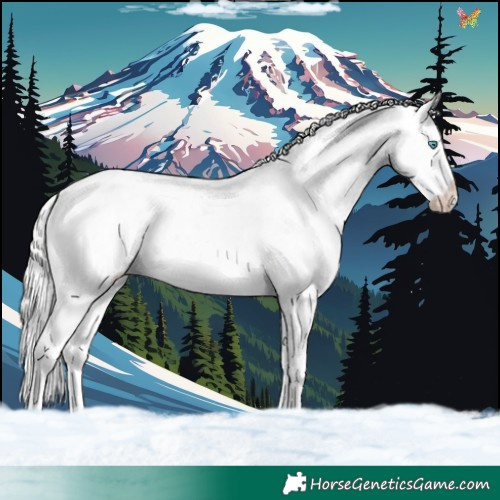 Horse Color:White Spotted Cremello Ice Sabino Splash 