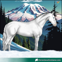 Horse Color:White Spotted Cremello Ice Sabino Splash 