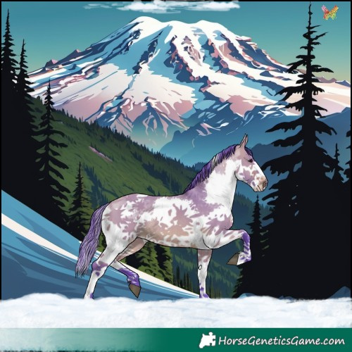 Horse Color:Watercolor Bay Dun Splash Tobiano Rabicano 