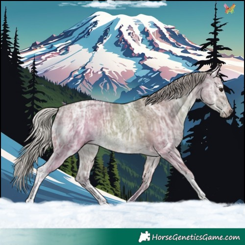Horse Color:Silver Brown Ice Dun Sabino 