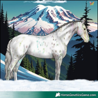 Horse Color:Silver Brown Ice Sabino Appaloosa