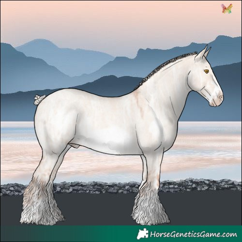 Horse Color:Silver Classic Champagne Ice Roan Dun Sabino Frame 