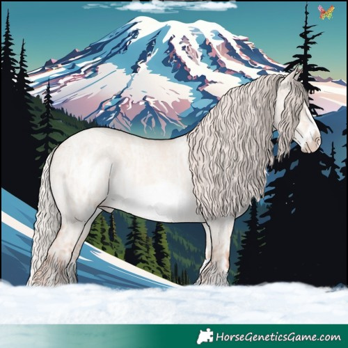 Horse Color:Silver Classic Champagne Ice Roan Dun Sabino Frame 