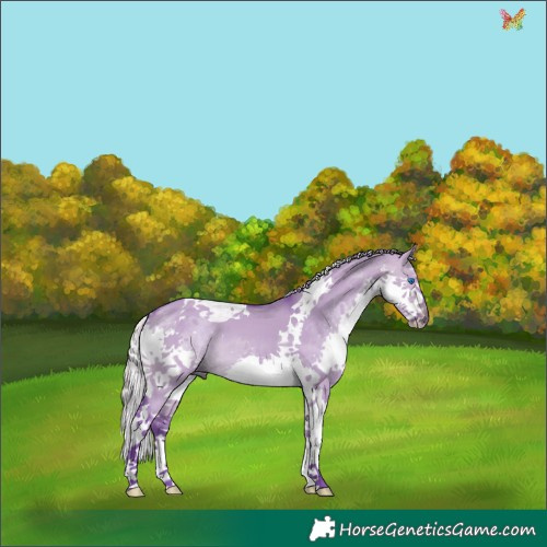 Horse Color:Watercolor Silver Brown Dun Splash Tobiano 