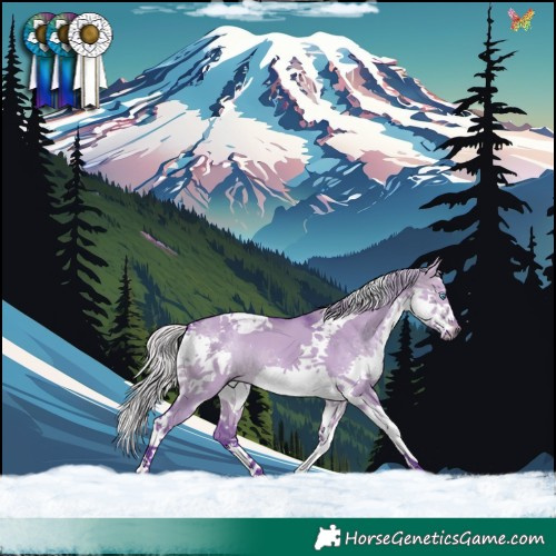 Horse Color:Watercolor Silver Brown Dun Splash Tobiano 