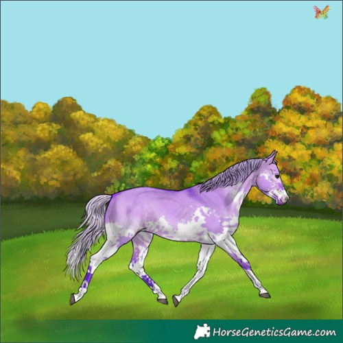 Horse Color:Watercolor White Spotted Silver Brown Dun Splash 