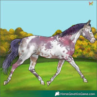 Horse Color:Watercolor Sable Champagne Splash Tobiano Frame