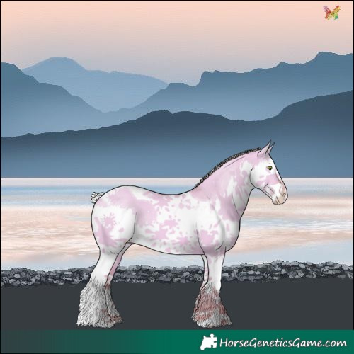 Horse Color:Watercolor Silver Sable Champagne Dun Splash Tobiano 