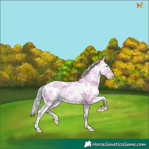 Horse Color:Watercolor Silver Sable Champagne Dun Splash Tobiano 