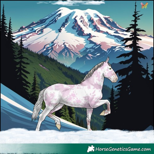 Horse Color:Watercolor Silver Sable Champagne Dun Splash Tobiano 