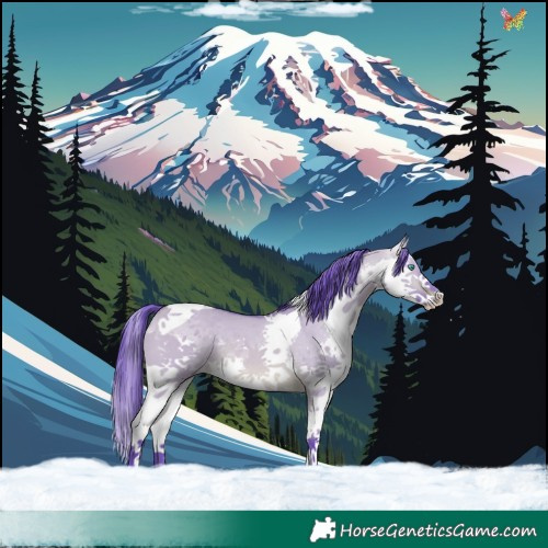 Horse Color:Watercolor Brown Dun Sabino Splash Tobiano Rabicano 