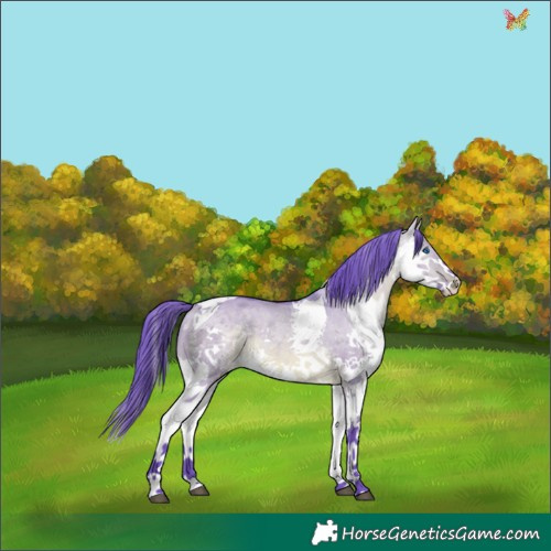 Horse Color:Watercolor Brown Dun Sabino Splash Tobiano Rabicano 