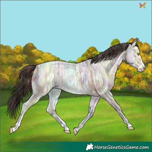 Horse Color:Sable Champagne Ice Sabino 