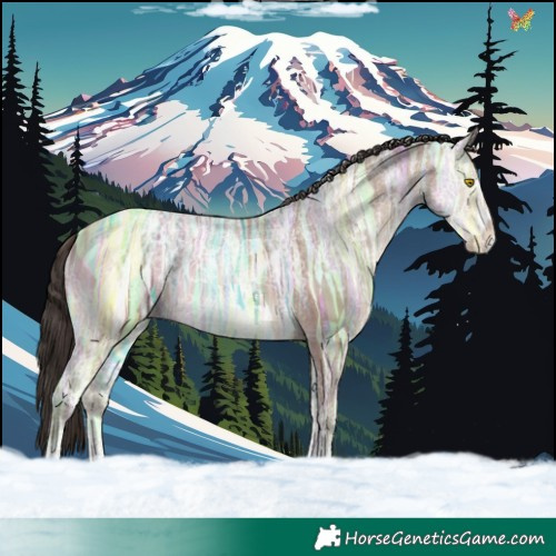 Horse Color:Sable Champagne Ice Sabino 