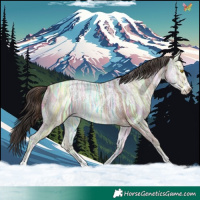 Horse Color:Sable Champagne Ice Sabino 