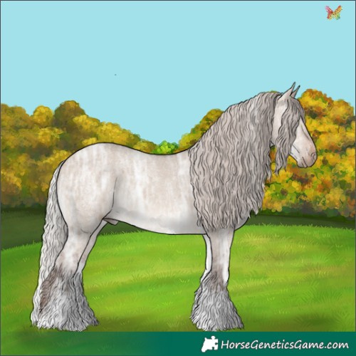 Horse Color:White Spotted Silver Brown Ice Dun Sabino 