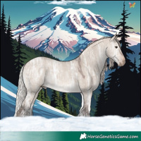 Horse Color:White Spotted Silver Brown Ice Dun Sabino