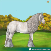 Horse Color:White Spotted Silver Brown Ice Dun Sabino