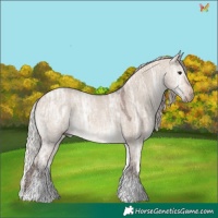 Horse Color:White Spotted Silver Brown Ice Dun Sabino