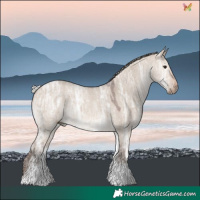 Horse Color:White Spotted Silver Brown Ice Dun Sabino