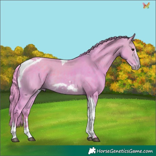Horse Color:Watercolor Brown Dun Tobiano Frame 