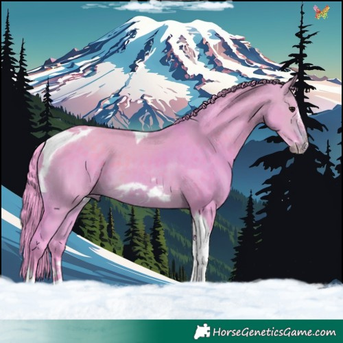Horse Color:Watercolor Brown Dun Tobiano Frame 