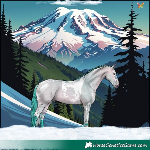 Horse Color:Watercolor Bay Dun Sabino Splash Tobiano 