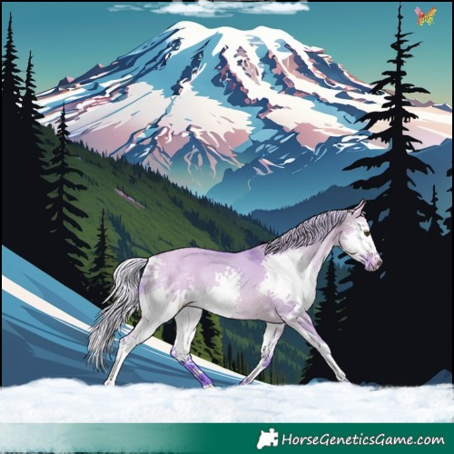 Horse Color:Watercolor Silver Buckskin Dun Splash Tobiano 