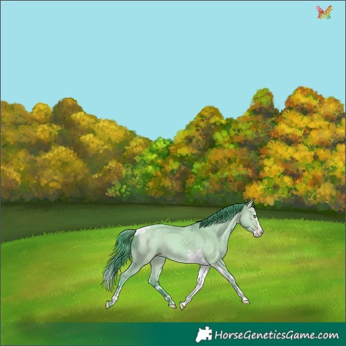 Horse Color:Watercolor Amber Cream Champagne Dun Splash Tobiano 