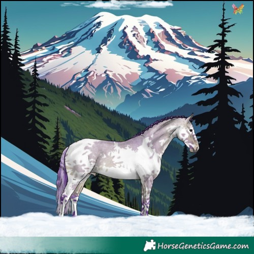 Horse Color:Watercolor Bay Roan Dun Splash Tobiano 