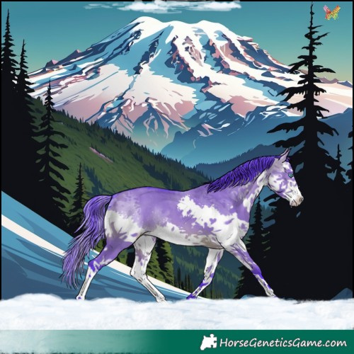 Horse Color:Watercolor White Spotted Brown Dun Splash Rabicano 