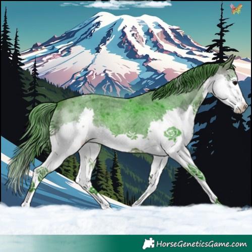 Horse Color:Watercolor Brown Roan Splash Tobiano 