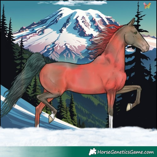 Horse Color:Watercolor Sable Champagne Tobiano 