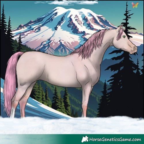 Horse Color:Watercolor Sable Champagne Dun Sabino Tobiano 