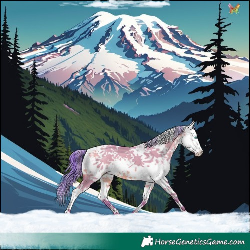 Horse Color:Watercolor White Spotted Sable Champagne Dun Sabino Splash 