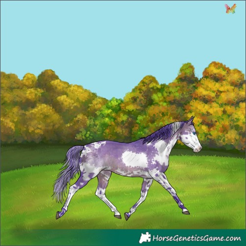 Horse Color:Watercolor Brown Dun Splash Tobiano Rabicano 