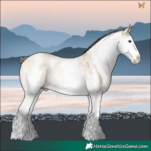 Horse Color:White Spotted Buckskin Ice Dun Sabino 