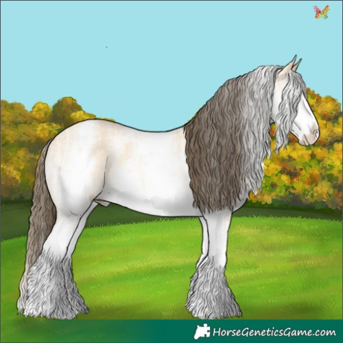 Horse Color:White Spotted Buckskin Ice Dun Sabino 