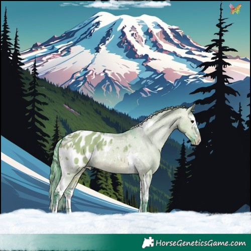 Horse Color:Watercolor Brown Dun Splash Tobiano Appaloosa 
