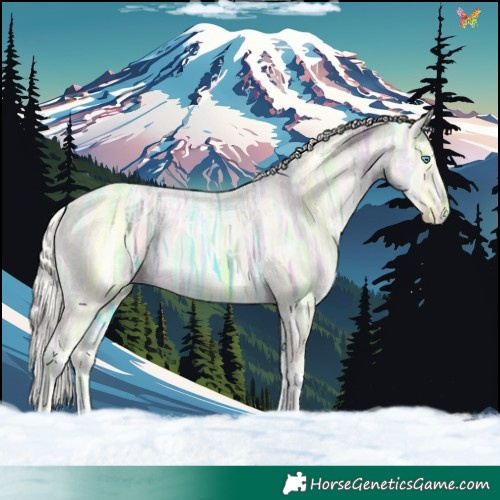 Horse Color:Cremello Ice Dun Sabino Tobiano